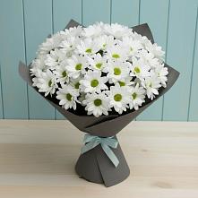 Букет цветов из:  Хризантемы #REPLACE_PRED# Смоленске
