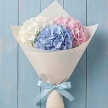 Букет цветов из:  Гортензия в Смоленске