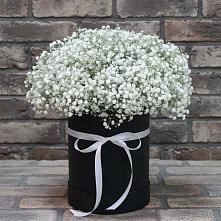 Цветочная композиция из Гипсофила в шляпной коробке в Смоленске