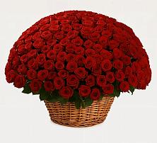 Премиум букет из: Розы в Смоленске