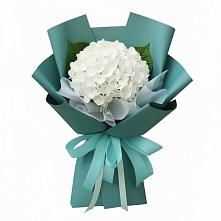 Букет цветов из:  Гортензия в Смоленске